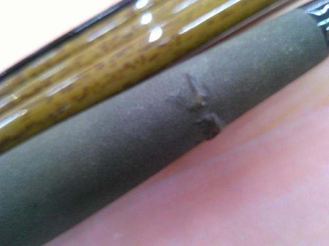 朱紋峰 先ぬけ 18