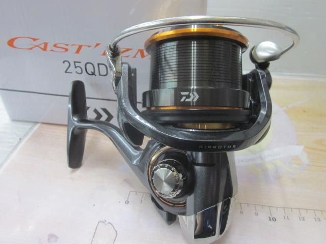 19キャスティズム 25 QD