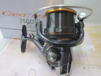 19キャスティズム 25 QD