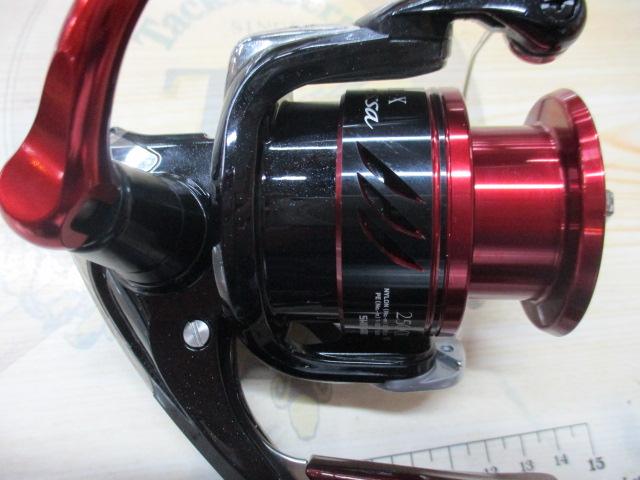 16BB-Xラリッサ 2500DXG