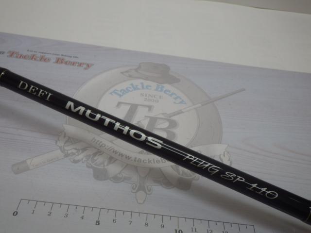 デフィーミュートス DM PlugSpecial 110 (RGモデル)