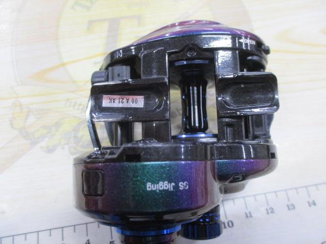 ソルティーステージジギング