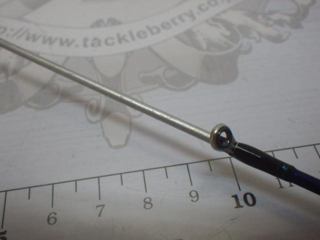 月下美人インフィート 79-S