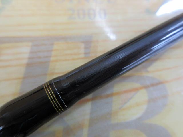 飛竜イカダ 180P・V