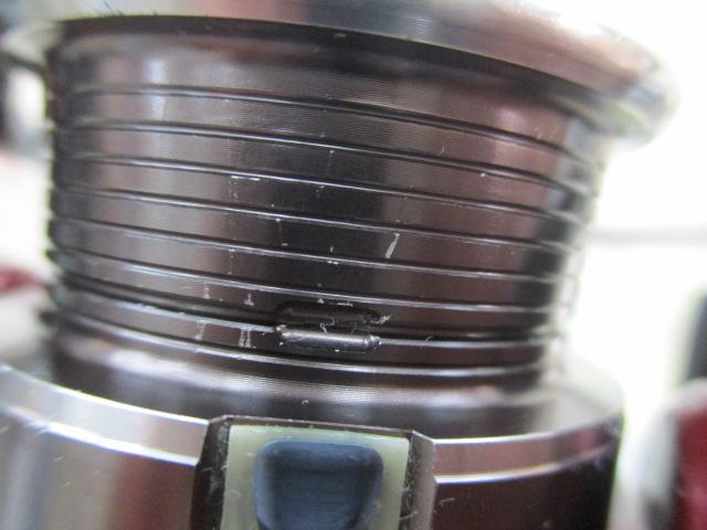 14月下美人 2004H