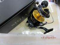 19ステラSW 10000PG