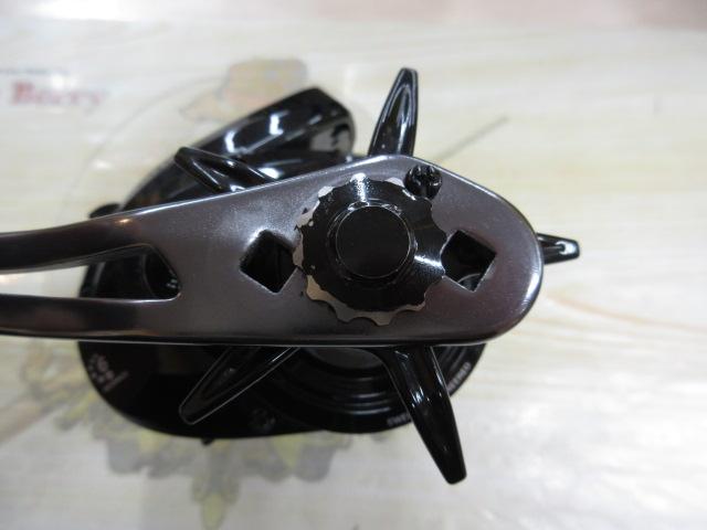 マックスDLC BG H