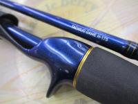 極鋭タチウオゲーム H-175