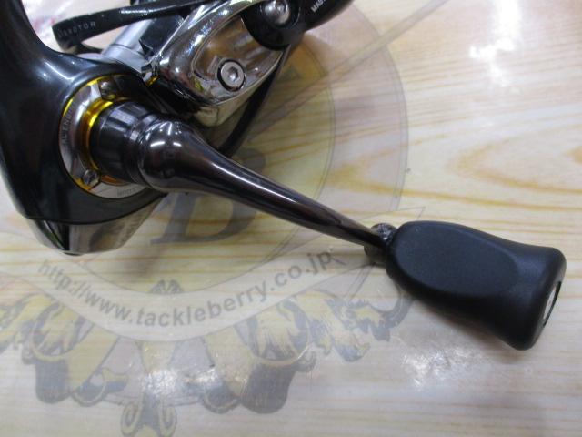 13セルテート 2004CH