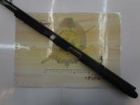 ディアルーナ S906ML