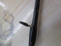 20ゾディアス 166ML-2