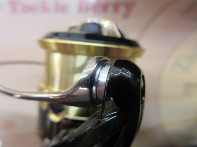 18カーディフCI4+ 1000SHG