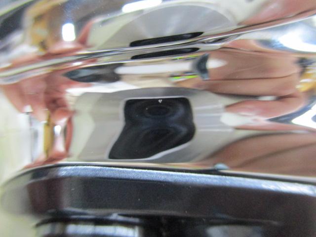 19アンタレスHG RH