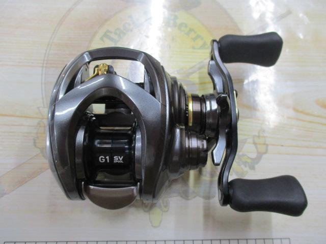 スティーズCT SV TW 700H