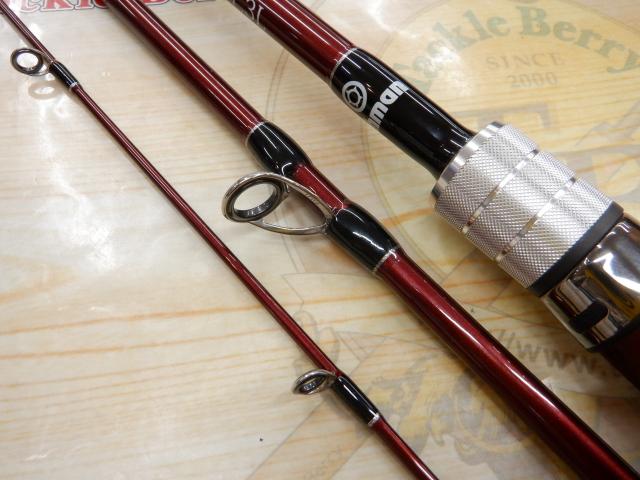 ビームス ローワー 7.3L