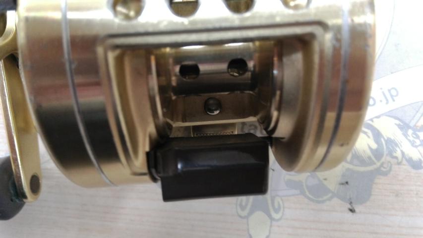 カルカッタ 201XT