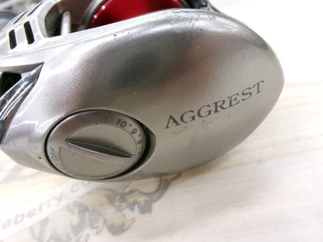 アグレスト 100SH