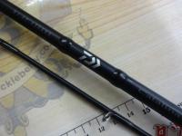 キャタリナBJ AP 63XXHB