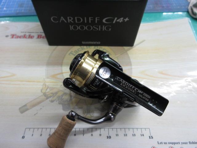 18カーディフCI4+ 1000SHG