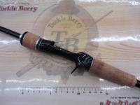 エクスプライド 166M