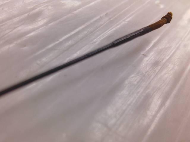 ウィスカーTHEヘラ 中硬15