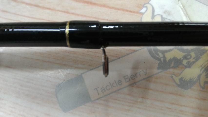 カリスタ 86M/TZ NANO