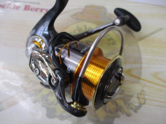 13セルテート 2510PE-H