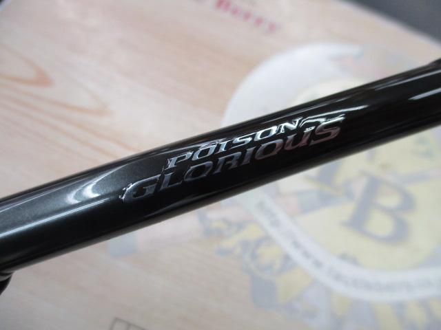 21ポイズングロリアス 165XH-SB