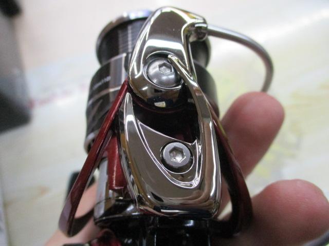 14月下美人 2004H