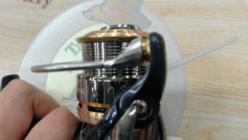 10セルテート 2506