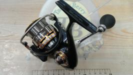 10セルテート 2506