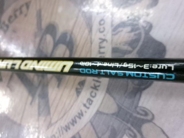 海のルアー竿カーボン60L