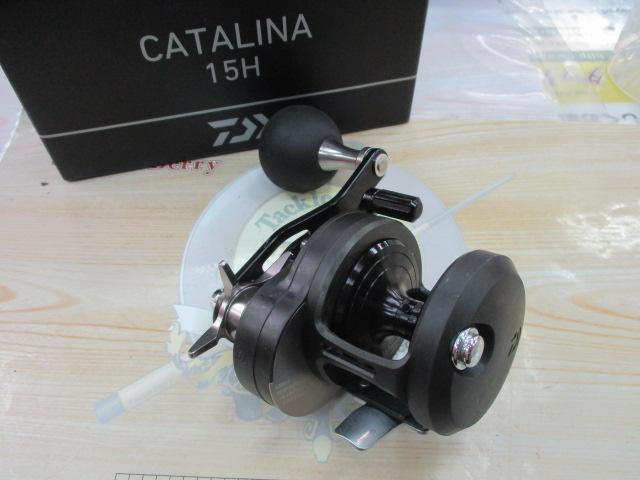 19キャタリナ 15H