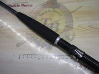 ソルティガコースタル SG ヒラマサ 54S