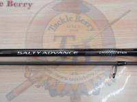 19ソルティーアドバンス チニングS 76M