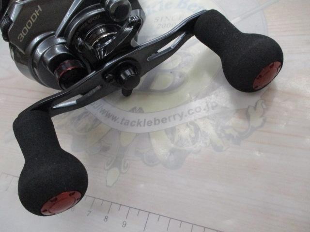 15フォースマスター 300DH