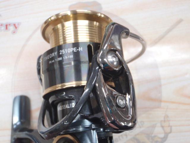 17セオリー 2510PE-H