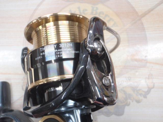 17セオリー 3012H