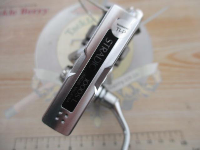 19ストラディック 1000S