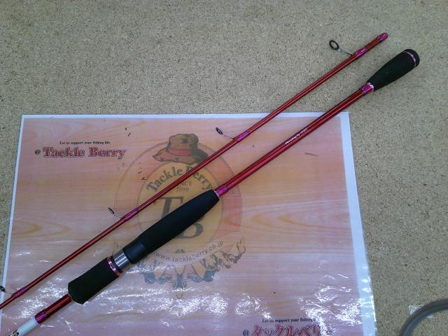 真鯛テンヤEXⅡ240