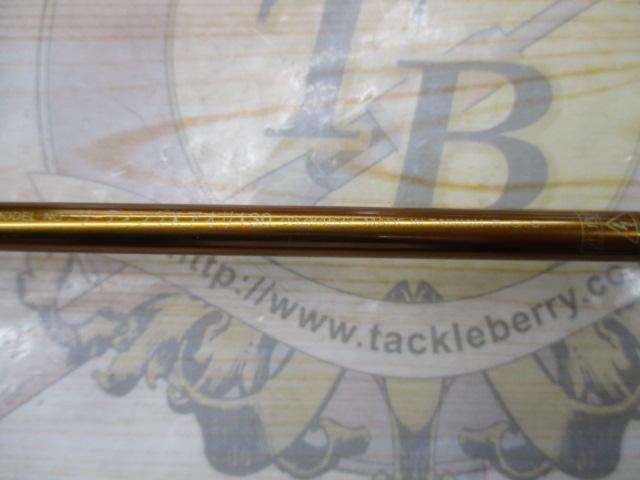 リーディング-X アオリ 130