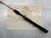 リーディング-X アオリ 130