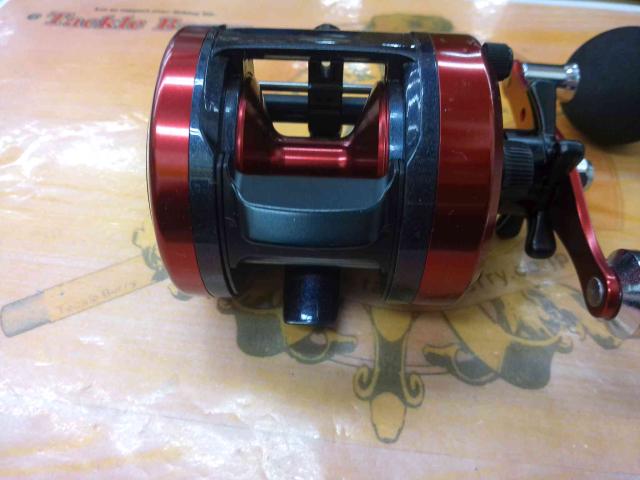 17ダイナスター 250