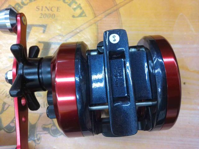 17ダイナスター 250