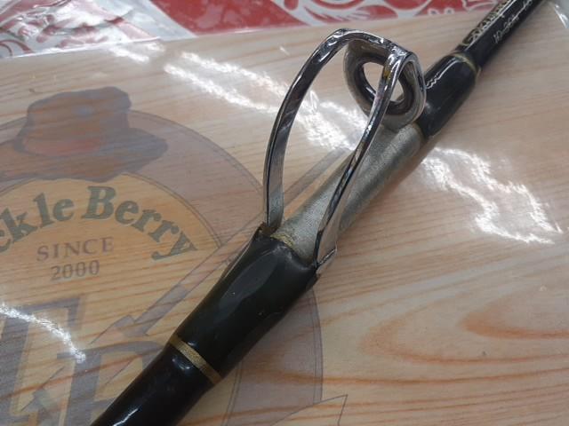 ゴクスペシャル10-30LBS220cm