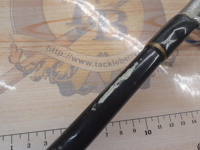 ゴクスペシャル10-30LBS220cm