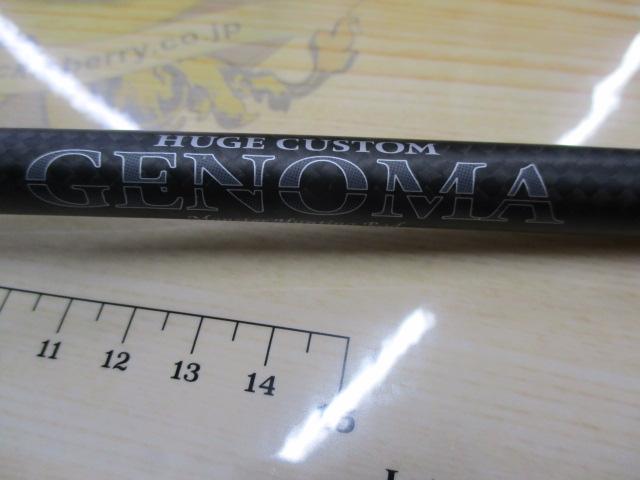 ヒュージカスタムジェノマ HGT2-66S