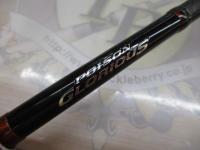 16ポイズングロリアス 265L+