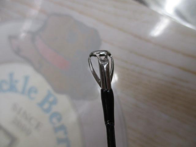 17ポイズングロリアス 1610H