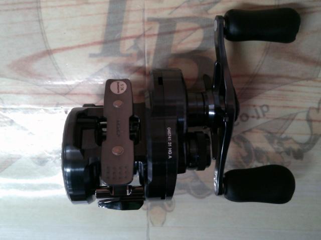 24カルカッタコンクエスト シャローエディション 31HG